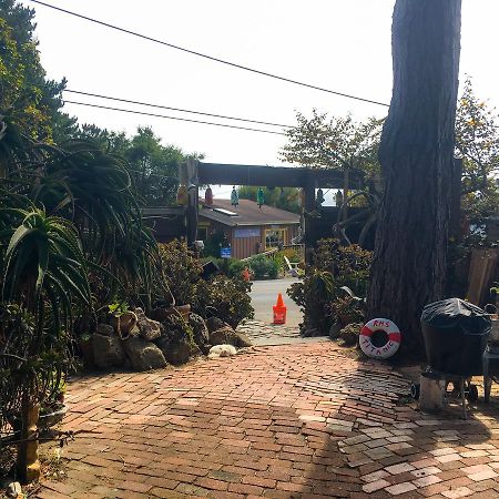 Bed and breakfast Stinson Beach Redwoods Haus Extérieur photo