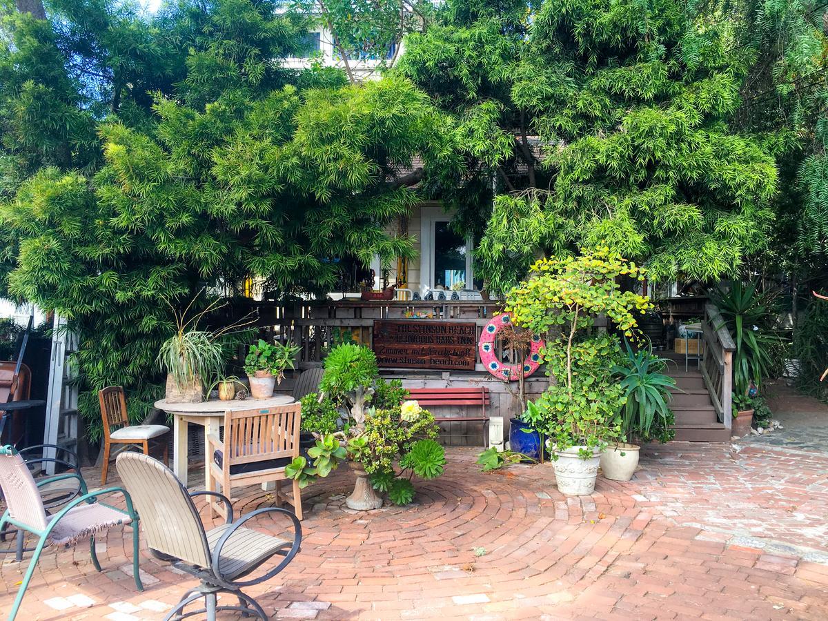 Bed and breakfast Stinson Beach Redwoods Haus Extérieur photo